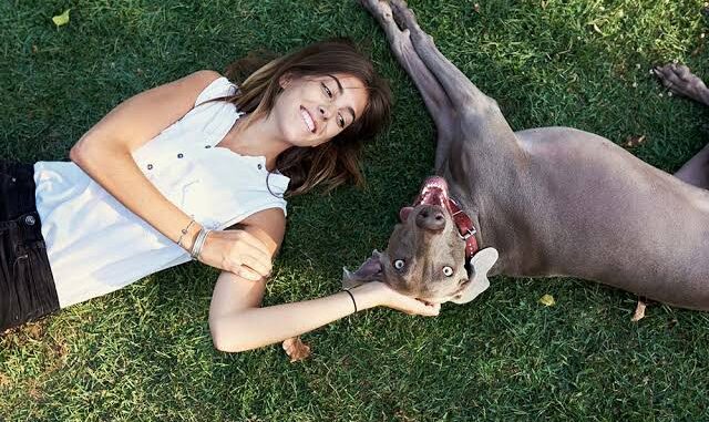 10 Ways to Make Your Dog’s Life Happier 10 Ways to Make Your Dog’s Life Happier
