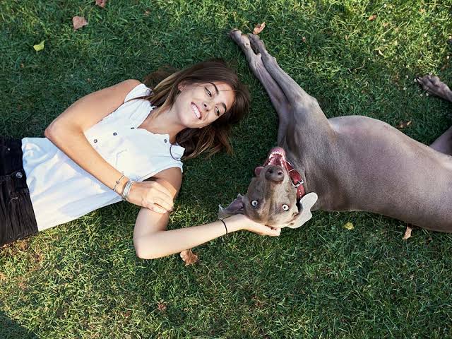 10 Ways to Make Your Dog’s Life Happier