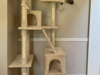 The Best Cat Trees for Multi-Cat Homes