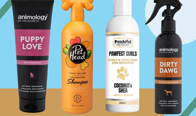 The Best Dog Shampoos for Sensitive Skin The Best Dog Shampoos for Sensitive Skin