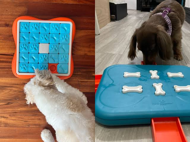 The Best Puzzle Toys for Dogs