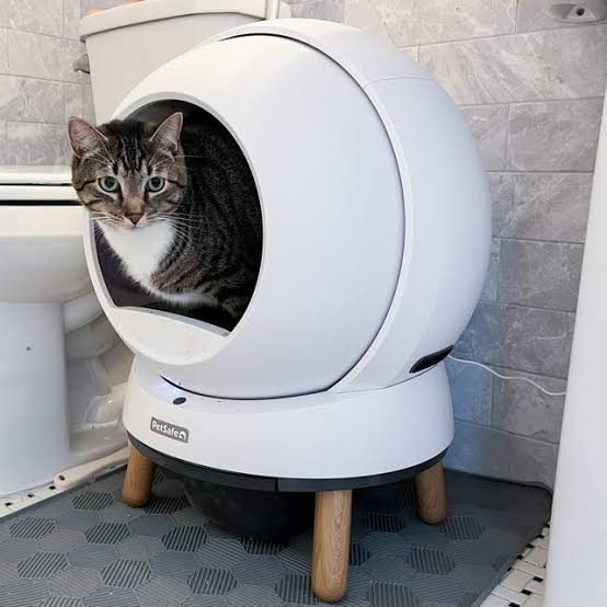 The Best Litter Boxes for Odor Control in 2025