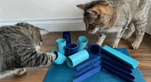 5 DIY Cat Toys You Can Make Today