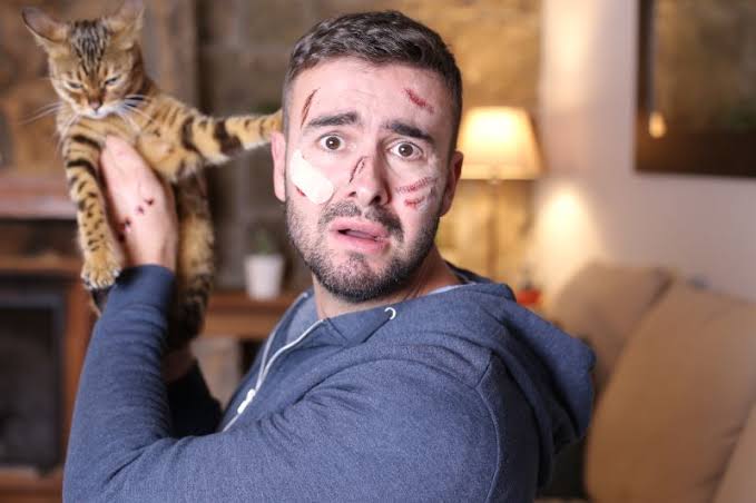 How to Train Your Cat to Stop Scratching You