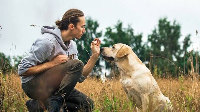 5 Dog Training Myths You Should Ignore 5 Dog Training Myths You Should Ignore