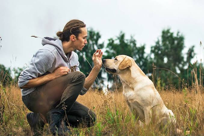 5 Dog Training Myths You Should Ignore