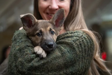 How to Build a Strong Bond with Your Rescue Dog How to Build a Strong Bond with Your Rescue Dog