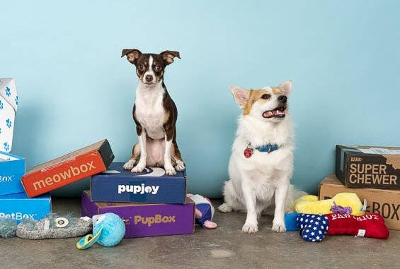 Top Pet Subscription Boxes for Dogs and Cats Top Pet Subscription Boxes for Dogs and Cats