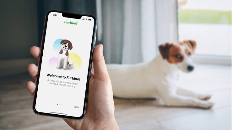 Top Dog Training Apps for New Pet Owners