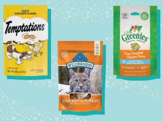 The Best Cat Treats for Training