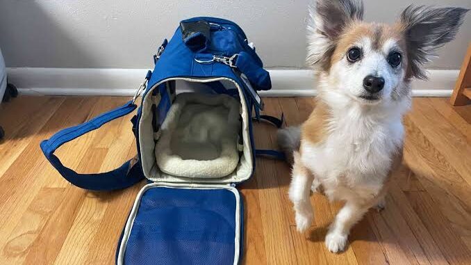 Best Pet Carriers for Air Travel in 2025 Best Pet Carriers for Air Travel in 2025