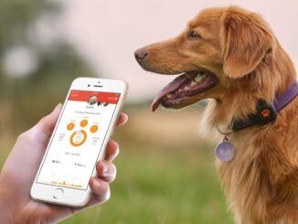 Best Pet Apps for Tracking Health and Vet Visits in 2025