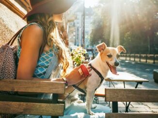 10 Dog-Friendly Vacation Spots for 2025