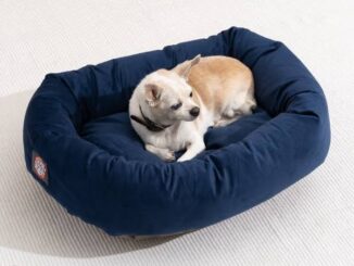 The Best Dog Beds for Joint Support