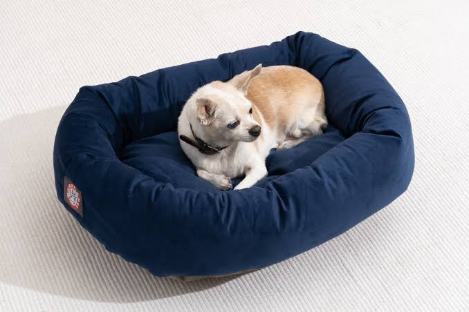 The Best Dog Beds for Joint Support