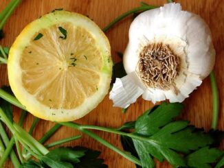 How to Prevent Fleas and Ticks on Cats Naturally