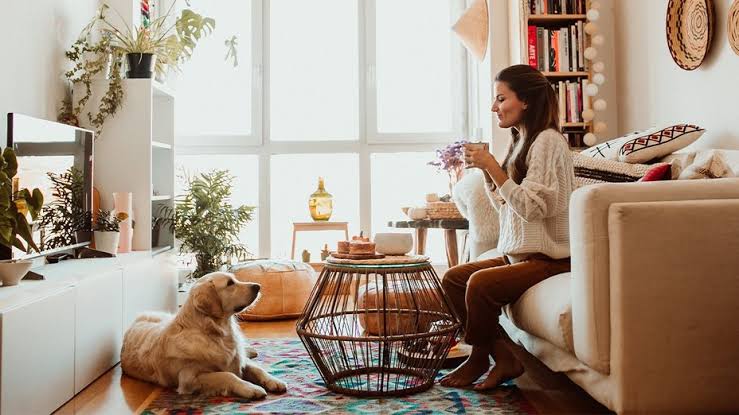 Top Pet-Friendly Apartment Tips for Renters