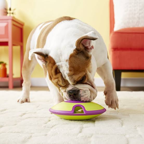 Top Interactive Toys for High-Energy Dogs