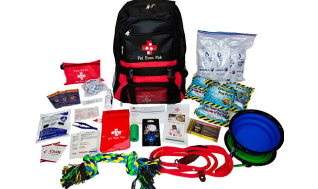 How to Create a Pet Emergency Kit for Disasters How to Create a Pet Emergency Kit for Disasters