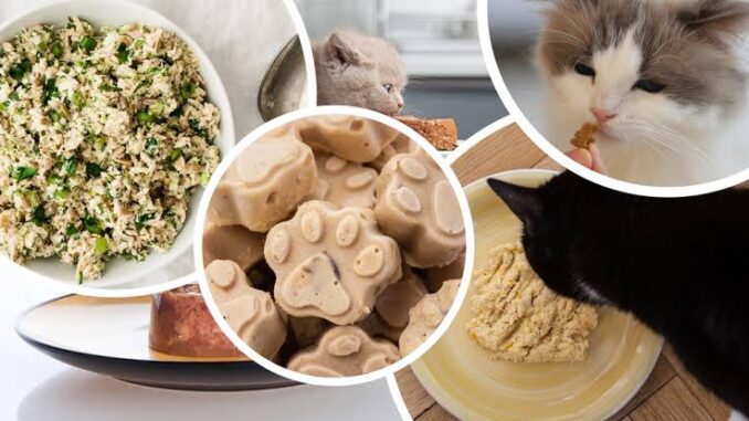 Homemade Cat Treat Recipes Your Feline Will Love Homemade Cat Treat Recipes Your Feline Will Love