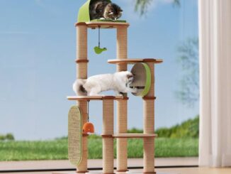 Best Cat Trees for Multi-Cat Households