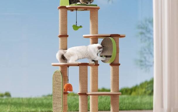 Best Cat Trees for Multi-Cat Households Best Cat Trees for Multi-Cat Households
