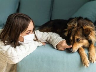 How to Manage Pet Allergies in Humans