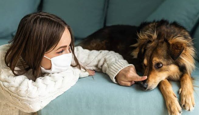 How to Manage Pet Allergies in Humans How to Manage Pet Allergies in Humans