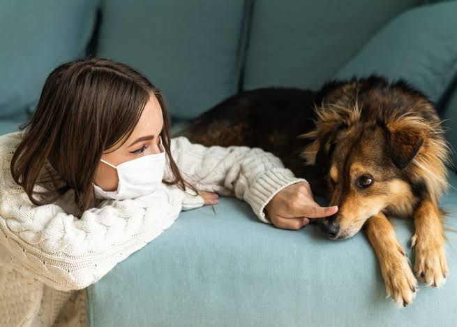 How to Manage Pet Allergies in Humans