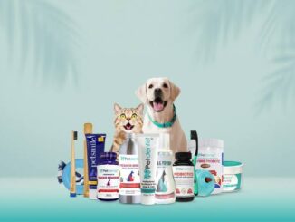 Top Pet Dental Care Products for Dogs and Cats