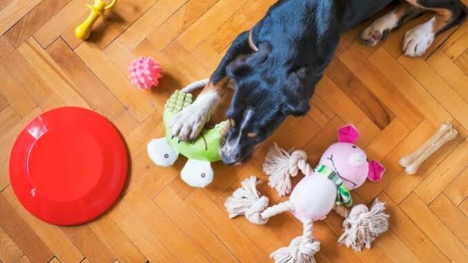 How to Create a DIY Pet Toy on a Budget How to Create a DIY Pet Toy on a Budget