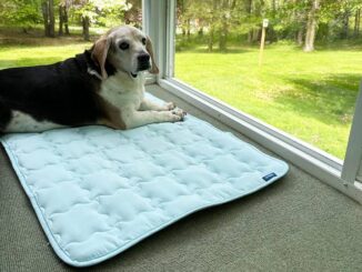 Best Pet Cooling Mats for Hot Summer Days