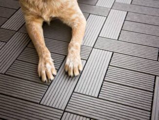 Tips for Choosing the Right Pet-Friendly Flooring