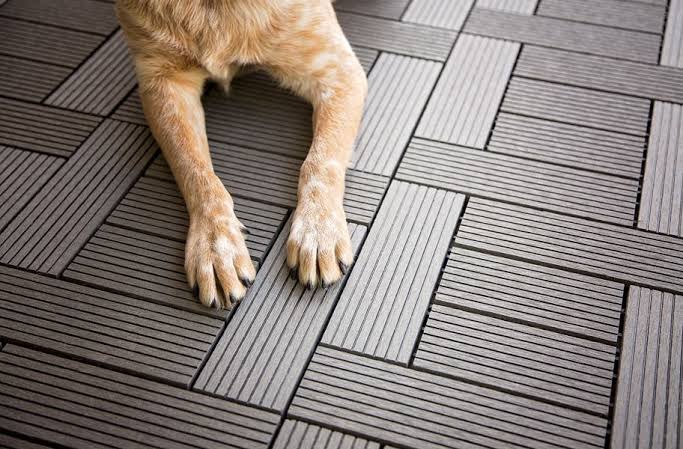 Tips for Choosing the Right Pet-Friendly Flooring