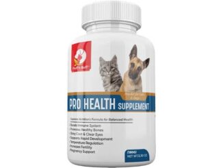 Top Pet Health Supplements for Dogs and Cats