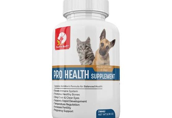 Top Pet Health Supplements for Dogs and Cats Top Pet Health Supplements for Dogs and Cats