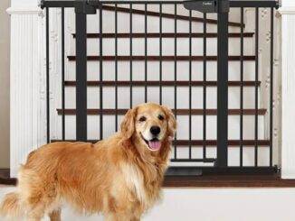 How to Choose the Best Pet Gate for Safety