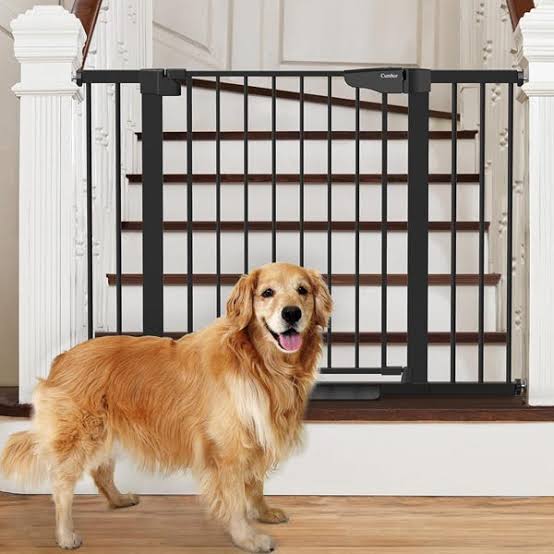 How to Choose the Best Pet Gate for Safety