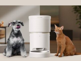 The Best Automatic Pet Feeders for Cats and Dogs