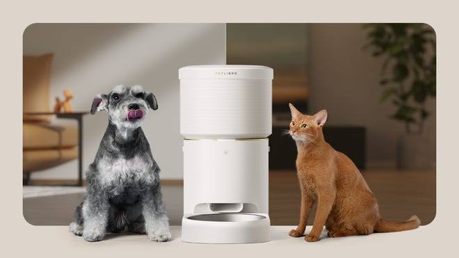 The Best Automatic Pet Feeders for Cats and Dogs The Best Automatic Pet Feeders for Cats and Dogs