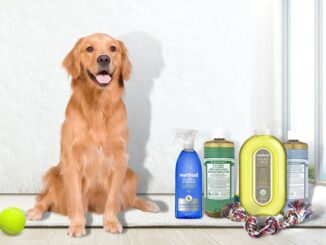 Best Pet-Friendly Cleaning Products for Homes