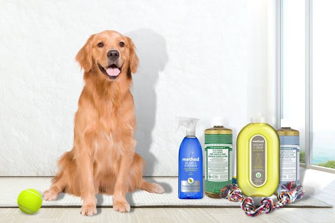 Best Pet-Friendly Cleaning Products for Homes