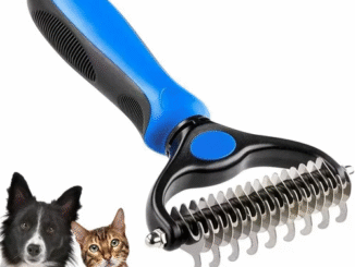 The Best Grooming Tools for Long-Haired Cats